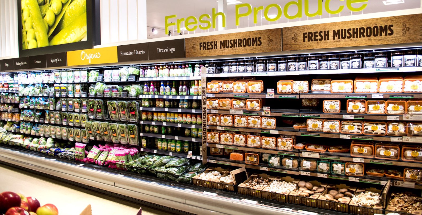 Grocery & Bulk Food