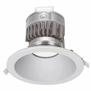 Advantage Downlight