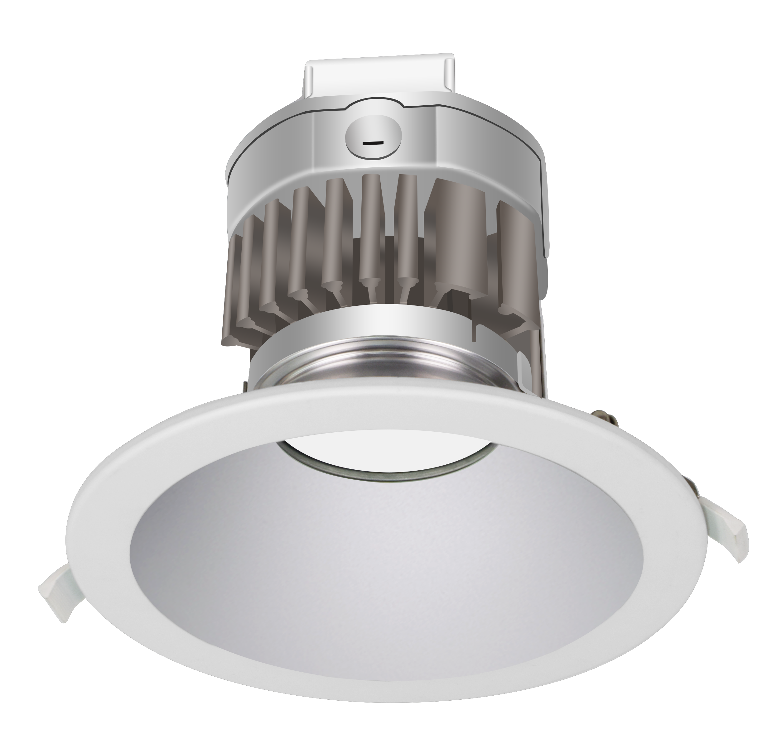 Advantage Downlight