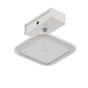 Small Canopy Fixture