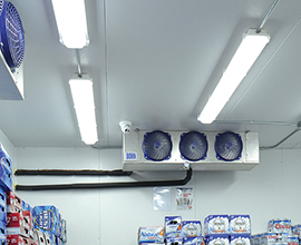Enclosed & Gasketed Lighting