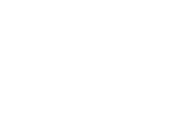 quick ship icon white