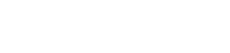 LSI Digital Featured Image