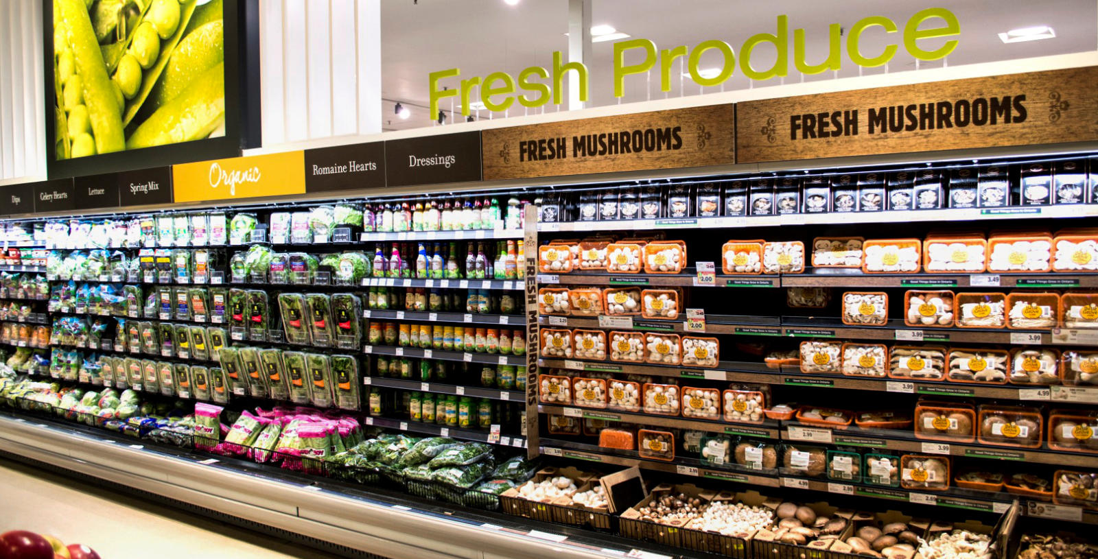 Grocery & Bulk Food